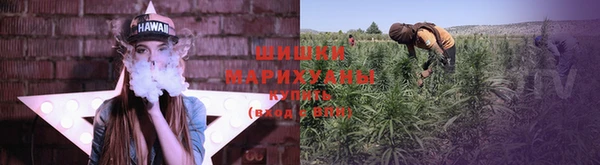 ГАЛЛЮЦИНОГЕННЫЕ ГРИБЫ Абдулино