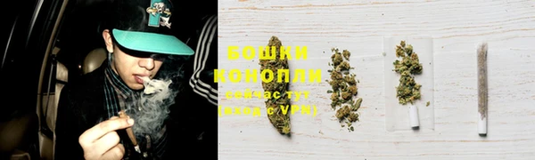 ГАЛЛЮЦИНОГЕННЫЕ ГРИБЫ Абдулино