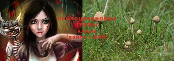 дурь Абинск