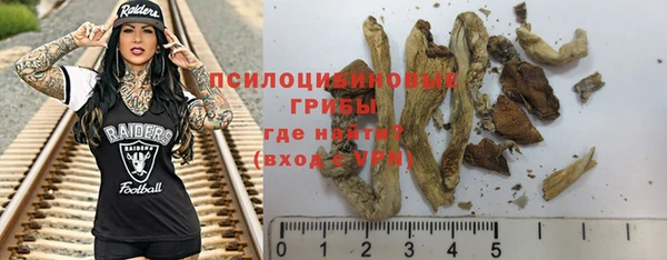 ГАЛЛЮЦИНОГЕННЫЕ ГРИБЫ Абдулино