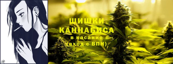 ГАЛЛЮЦИНОГЕННЫЕ ГРИБЫ Абдулино