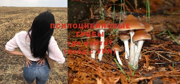 дурь Абинск