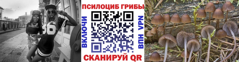 купить наркотик  сайты даркнета формула  Галлюциногенные грибы Psilocybe  Псков 
